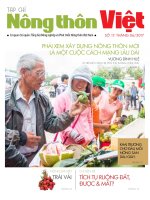 Nong thon Viet - So 17. 05-06-2017