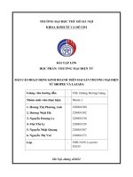 bài tập lớn học phần thương mại điện tử báo cáo hoạt động kinh doanh trên hai sàn thương mại điện tử shopee và lazada 