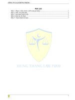 nghị-định-862019nđ-cp-quy-định-về-mức-vốn-pháp-định-của-tổ-chức-tín-dụng-chi-nhánh-ngân-hàng-nước-ngoài