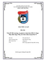 Vấn đề môi trường và quản lý, khai thác Đồi Cò Ngọc Nhị, Ba Vì