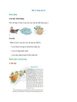 giai-tieng-viet-lop-2-tap-2-bai-2-ong-xay-to-chan-troi-sang-tao