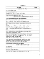 Sáng kiến kinh nghiệm