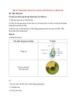 giai-khoa-hoc-tu-nhien-6-bai-24-thuc-hanh-quan-sat-va-mo-ta-co-the-don