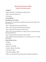 ly-thuyet-khoa-hoc-tu-nhien-6-bai-26-thuc-hanh-quan-sat-vi-khuan-chan