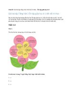 giai-bai-tap-tieng-viet-2-on-tap-giua-hoc-ki-1-ket-noi-tri-thuc