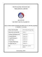 báo cáo hoạt động kinh doanh trên hai sàn thương mại điện tử shopee và lazada 