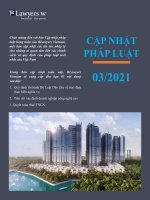 BLawyers-VN-21-Legal-Update-Mar-V-2503