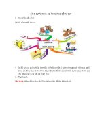 giai-tin-hoc-6-bai-8-du-an-nho-loi-ich-cua-so-do-tu-duy-canh-dieu