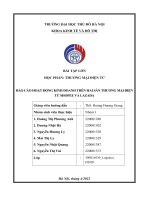 báo cáo hoạt động kinh doanh trên hai sàn thương mại điện tử shopee và lazada 