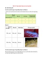 giai-khoa-hoc-tu-nhien-6-bai-33-thuc-hanh-quan-sat-cac-loai-nam-ket-no