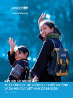 Bản tóm tắt nội bộ về xu hướng chi tiêu công cho môi trường và xã hội của Việt Nam (2028-2020)