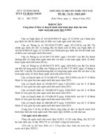 Baocao-cong-khai-va-thuyet-minh-thinh-hinh-thuc-hien-du-toan-Quy-I.2021