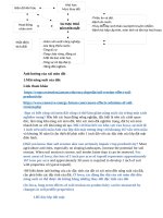 đất môi trường kỹ thuật môi trường