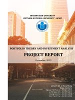 Construct a Portfolio report