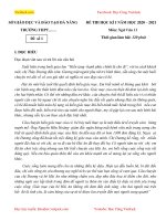 de-thi-hoc-ki-1-ngu-van-lop-11-da-nang-co-dap-an-dtvj2022t2