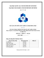 đề tài dân tộc trong thời kỳ quá độ lên chủ nghĩa xã hội  thực trạng và giải pháp tiếp tục thực hiện quyền dân tộc ở nước ta hiện nay 