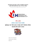 tiểu luận môn vi sinh thực phẩm đề tài vai trò của vi sinh vật trong công nghệ sản xuất chao 