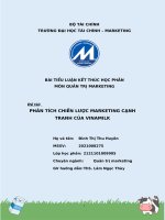 tiểu luận  môn quản trị marketing đề tài phân tích chiến lược marketing cạnh tranh của vinamilk 