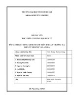 bài tập lớn học phần thương mại điện tử báo cáo hoạt động kinh doanh trên hai sàn thương mại điện tử shopee và lazada 