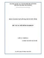 báo cáo bài tập lớn đại số tuyến tính  mô hình markov 