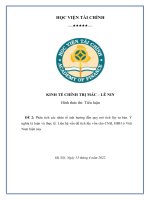 Tiểu luận Phân tích các nhân tố ảnh hưởng đến quy mô tích lũy tư bản. Ý nghĩa lý luận và thực tế. Liên hệ vấn đề tích lũy vốn cho công nghiệp hóa, hiện đại hóa ở Việt Nam hiện nay