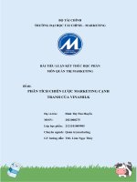 tiểu luận  môn quản trị marketing đề tài phân tích chiến lược marketing cạnh tranh của vinamilk 