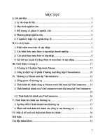 PHÂN TÍCH SỰ THAY đổi TÌNH HÌNH tài CHÍNH của MASAN SAU THƯƠNG vụ sáp NHẬP VINCOMMERCE đã xoay