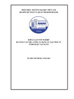 Luận văn Kế toán nguyên vật liệu, công cụ dụng cụ tại CTY Dược Vạn Xuân