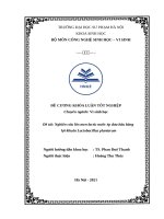 LÊN MEN LACTIC TỪ NƯỚC ÉP DƯA HẤU - LỢI KHUẨN Lactobacillus plantarum