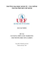 bài tập nhóm đề tài xây dựng chiến lược marketing cho thương hiệu soya garden