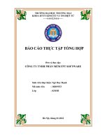 Báo cáo thực tập tổng hợp tại CÔNG TY TNHH PHẦN MỀM FPT SOFTWARE