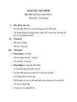 GATH NAN QUA BE THICH 