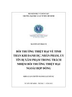 Bồi thường thiệt hại về tinh thần khi danh dự, nhân phẩm, uy tín bị xâm phạm trong trách nhiệm bồi thường thiệt hại ngoài hợp đồng 