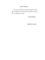 (Luận án tiến sĩ) Phát triển hạ tầng kinh tế  xã hội ở nông thôn tỉnh Bắc Ninh, kinh nghiệm và giải pháp