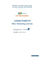 assignment môn marketing căn bản thương hiệu masan 