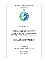 NGHIÊN CỨU LÊN MEN LACTIC TỪ NƯỚC ÉP DƯA HẤU - LỢI KHUẨN Lactobacillus plantarum