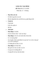 GATH dán củ cà rốt 