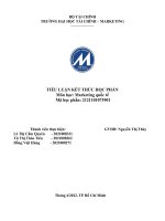 PHÂN TÍCH CHIẾN LƯỢC MARKETING MIX CỦA TƯƠNG ỚT  CHIN-SU TẠI NHẬT BẢN