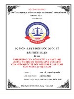 tiểu luận đề tài ảnh hưởng của công ước la haye 1993 về bảo vệ trẻ em trong lĩnh vực nuôi con nuôi quốc tế đối với pháp luật nuôi con nuôi tại việt nam 
