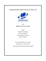 Tiểu luận lễ hội thả đèn trời (Ying Peng) ở Thái Lan