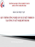 BÁO CÁO THỰC TẬP QUY TRÌNH CÔNG NGHỆ SẢN XUẤT KÉT TRIBECO TẠI CÔNG TY KỸ NGHỆ ĐÔ THÀNH