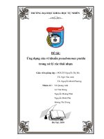 TIỂU LUẬN MÔN Cơ Sở Công Nghệ Hóa Sinh  Tên đề tài: Ứng dụng vi khuẩn Bacillus megaterium trong sản xuất phân bón  vi sinh