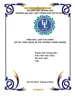 Tiểu luận tổng quan thị trường chứng khoán (luật tài chính)