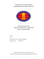 BÀI TIỂU LUẬN CUỐI KỲ HỌC PHẦN MÔI TRƯỜNG VÀ PHÁT TRIỂN