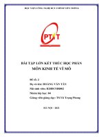 BÀI tập lớn kết THÚC học PHẦN môn KINH tế vĩ mô 