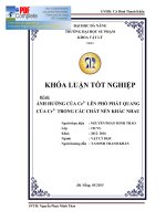 ẢNH HƯỞNG CỦA Ce3+ LÊN PHỔ PHÁT QUANG CỦA Cr3+ TRONG CÁC CHẤT NỀN KHÁC NHAU  10600828