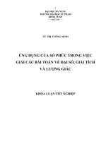 ỨNG DỤNG CỦA SỐ PHỨC TRONG VIỆC GIẢI CÁC BÀI TOÁN VỀ ĐẠI SỐ, GIẢI TÍCH VÀ LƯỢNG GIÁC  10600785