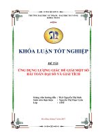 ỨNG DỤNG LƯỢNG GIÁC ĐỂ GIẢI MỘT SỐ BÀI TOÁN ĐẠI SỐ VÀ GIẢI TÍCH  10600721