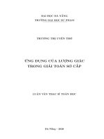 ỨNG DỤNG CỦA LƯỢNG GIÁCTRONG GIẢI TOÁN SƠ CẤP  10600781