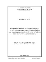 ĐỀ CƯƠNG CHI TIẾT